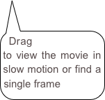 Drag to view the movie in slow motion or find a single frame